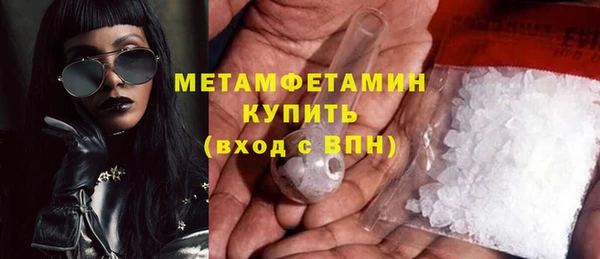 прущие грибы Зеленокумск