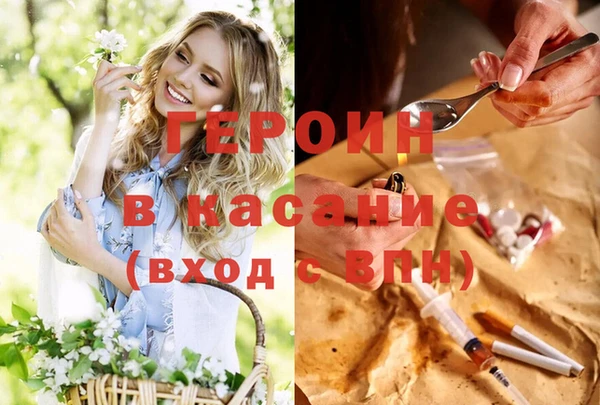 прущие грибы Зеленокумск