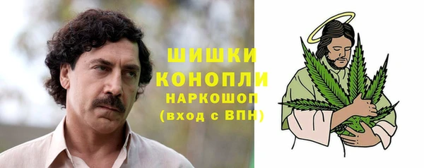 прущие грибы Зеленокумск