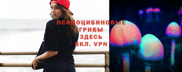 соль ск Зеленодольск
