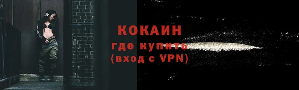 соль ск Зеленодольск