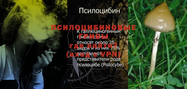 прущие грибы Зеленокумск