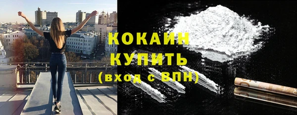 прущие грибы Зеленокумск
