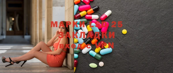 прущие грибы Зеленокумск