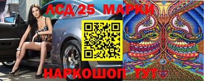 стафф Коммунар