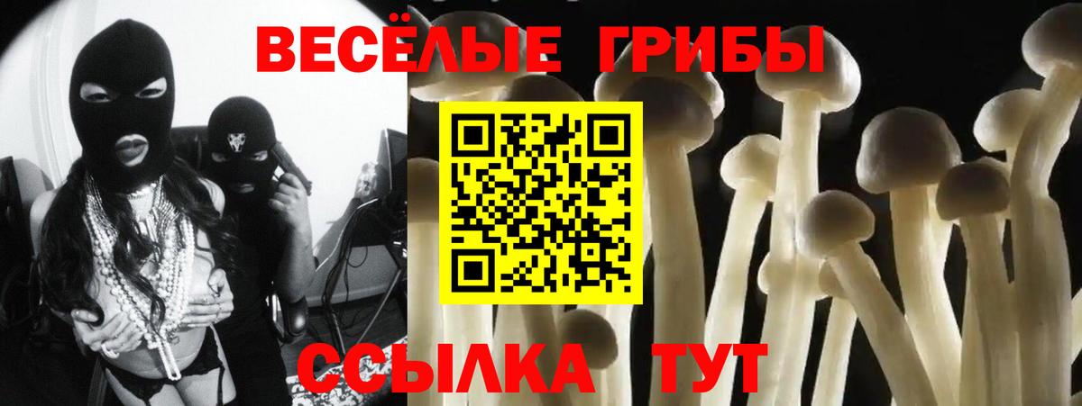 Галлюциногенные грибы мухоморы Октябрьский